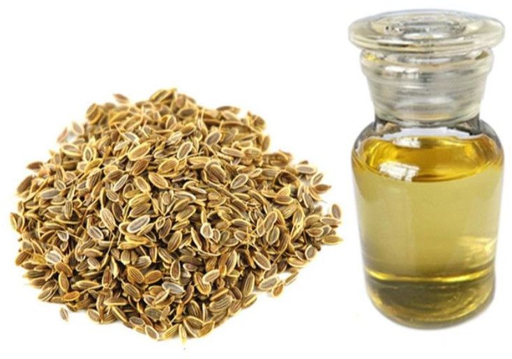 Dill Seed Essential Oil