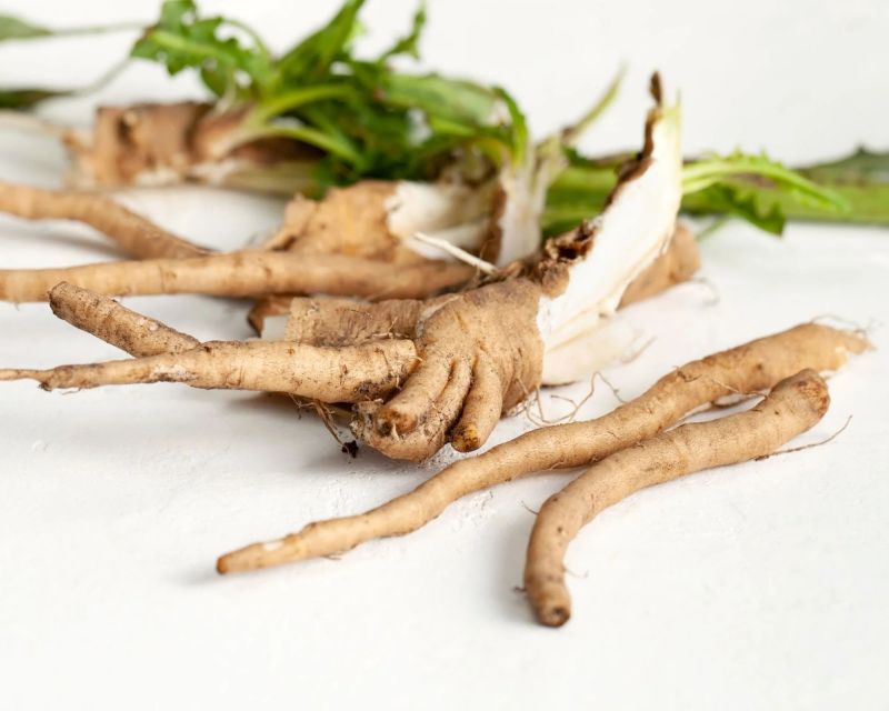 Natural Fresh Chikory Root