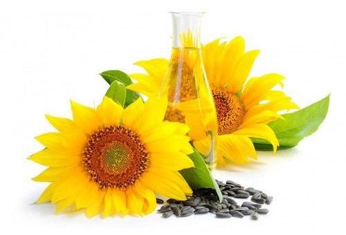 Sunflower Essential Oil