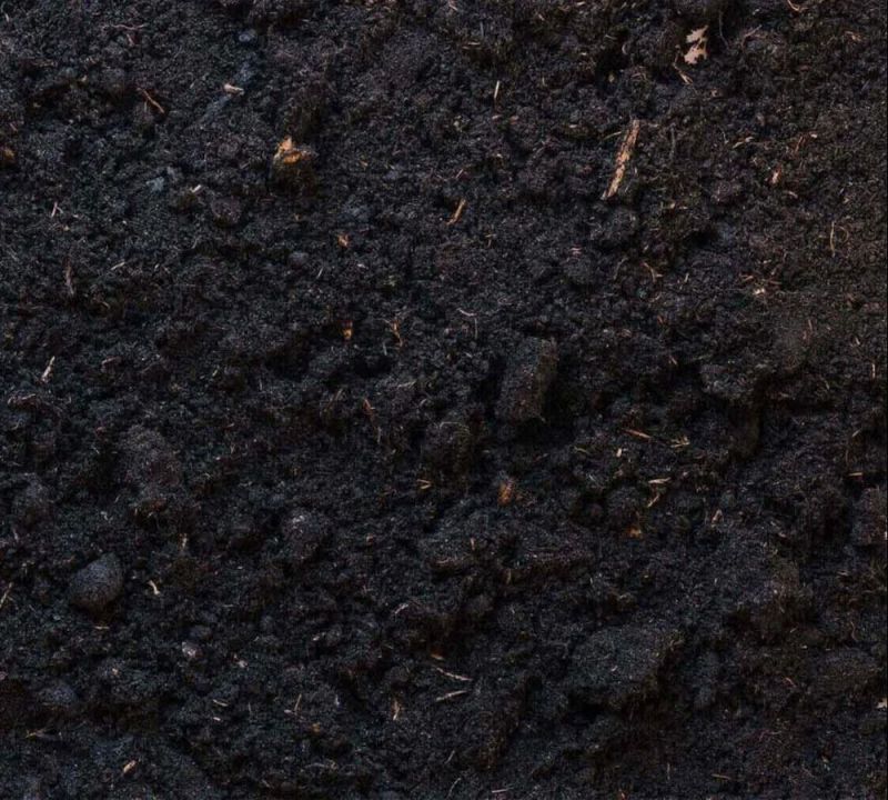Organic Vermicompost Fertilizer
