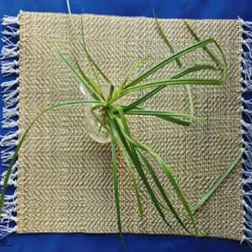 Herringbone Jute Mat with Fringe
