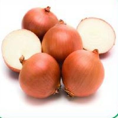 Gavran Onion Seeds