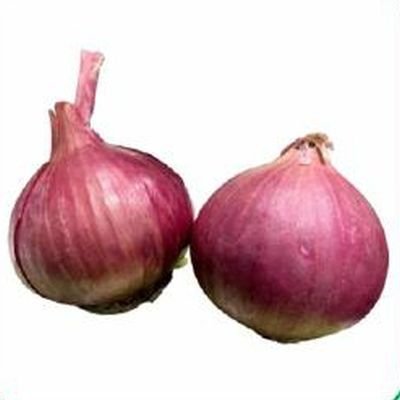 Verna Super Onion Seeds