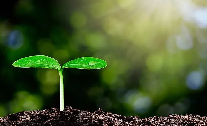 Agro Farming Finance Services