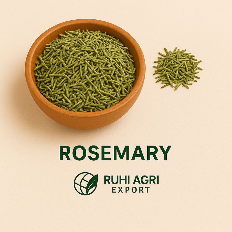 Green Rosemary Dry Leaves