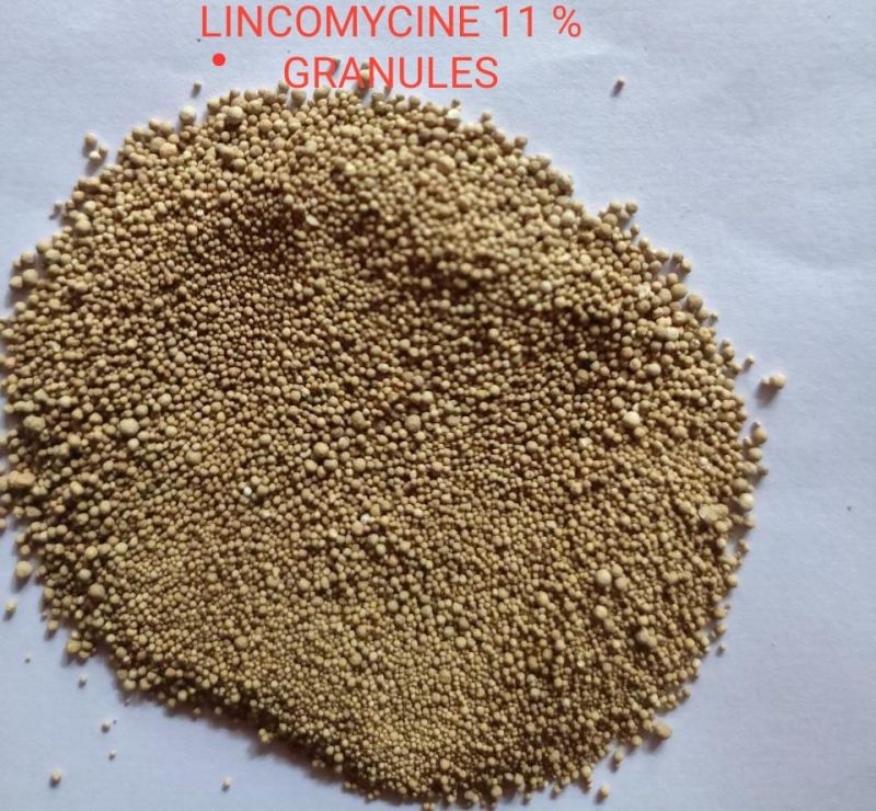 HPLC Grade Lincomycin 10% Powder