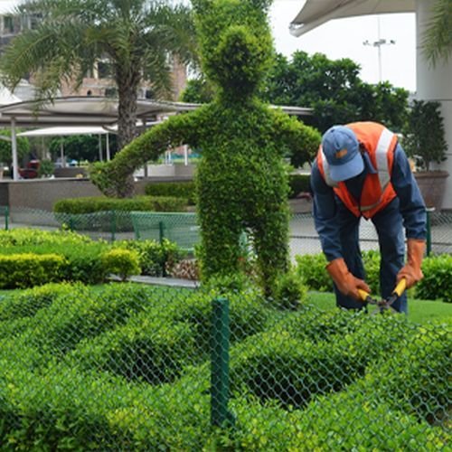 Gardening Services