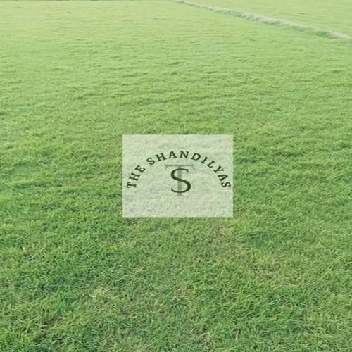 No. 1 Grass Carpet