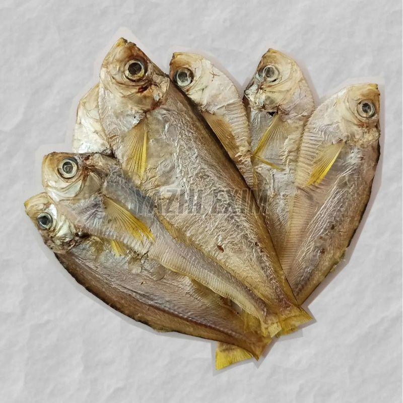 Dried Fish