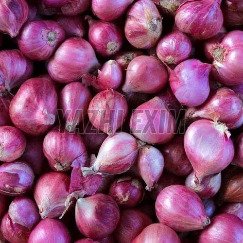 Fresh Onion