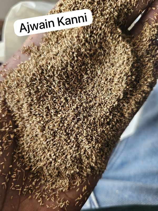 Ajwain