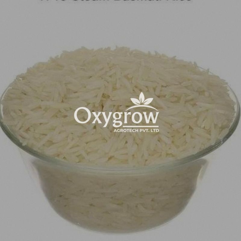 1718 Steam Sella Basmati Rice