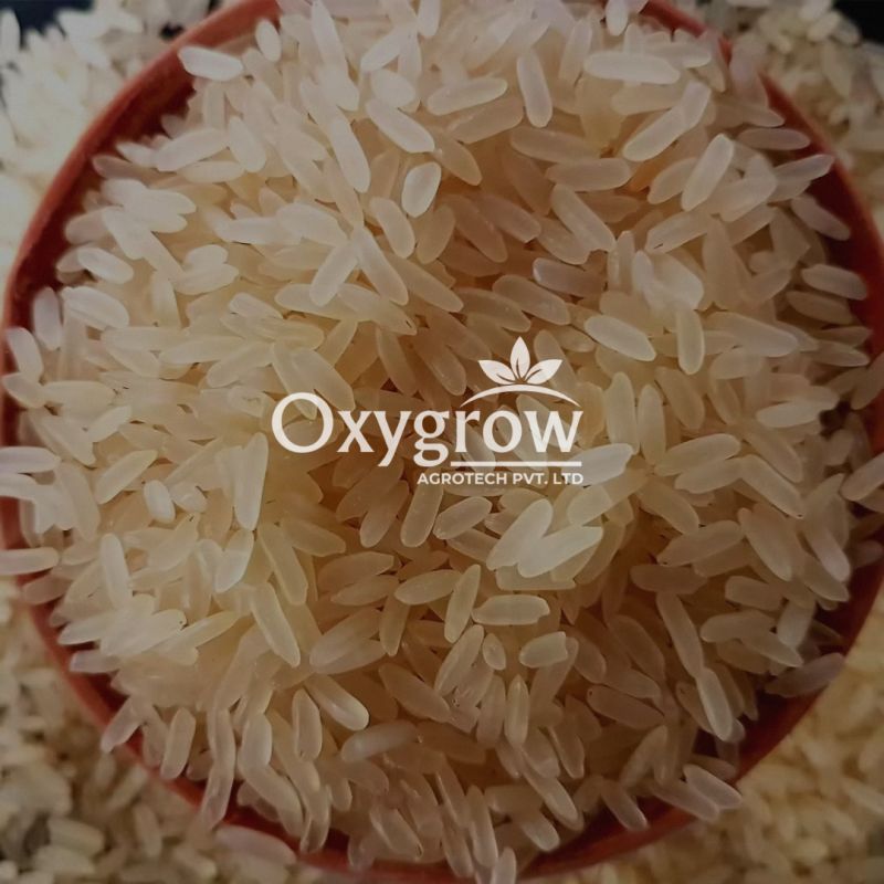 IR64 25% Broken Raw Non Basmati Rice