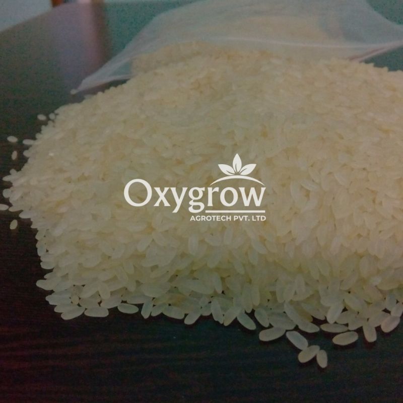 IR64 5% Broken Parboiled Non Basmati Rice
