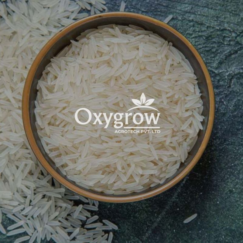 Sona Masoori Non Basmati Rice