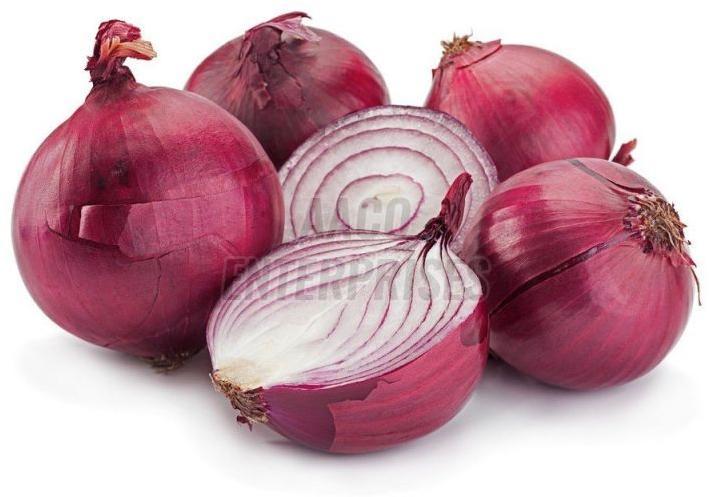 Fresh Onion