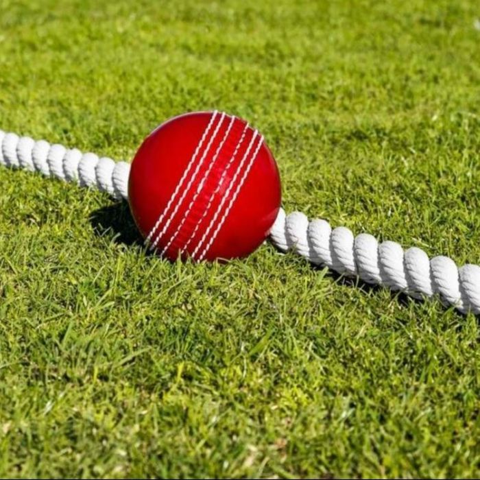Cricket Boundary Rope