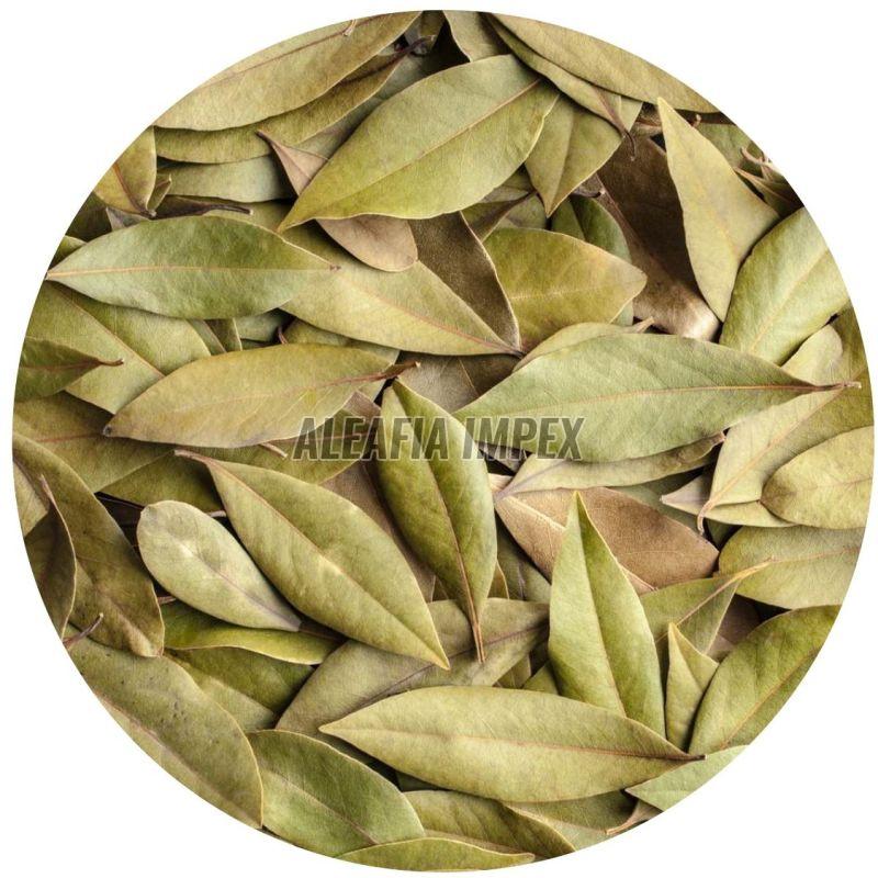 Bay Leaves