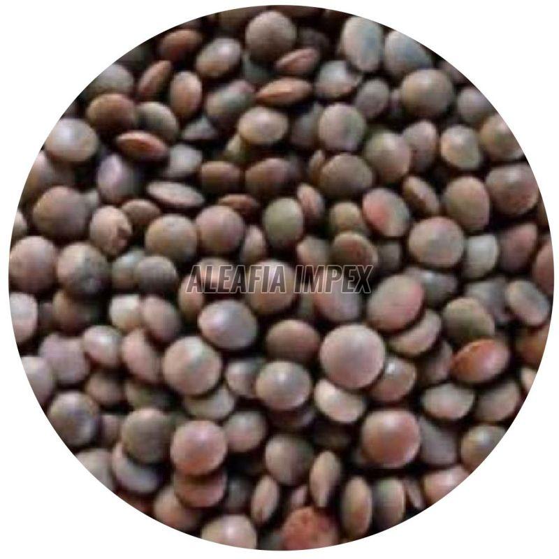 Black Masoor Dal