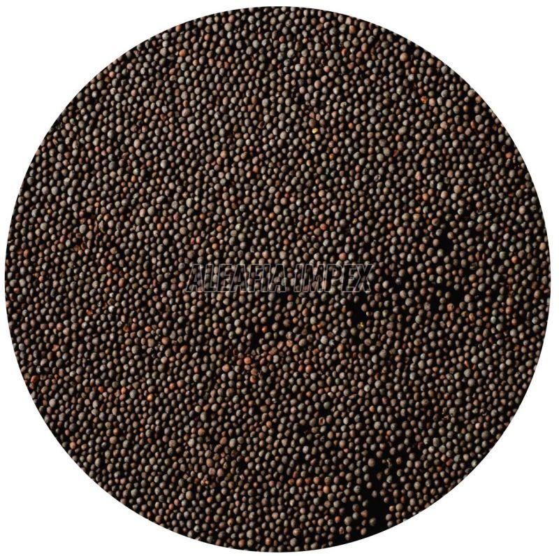 Black Mustard Seeds