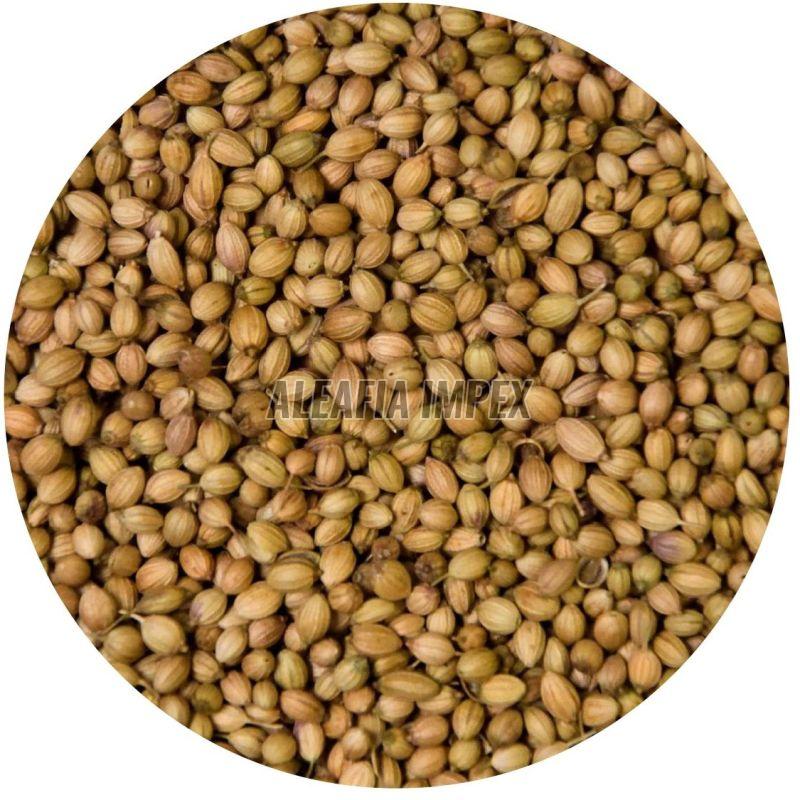Coriander Seeds