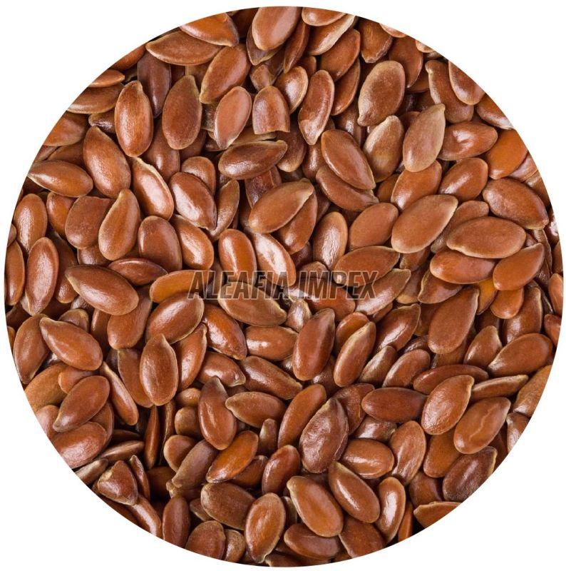 Flax Seeds