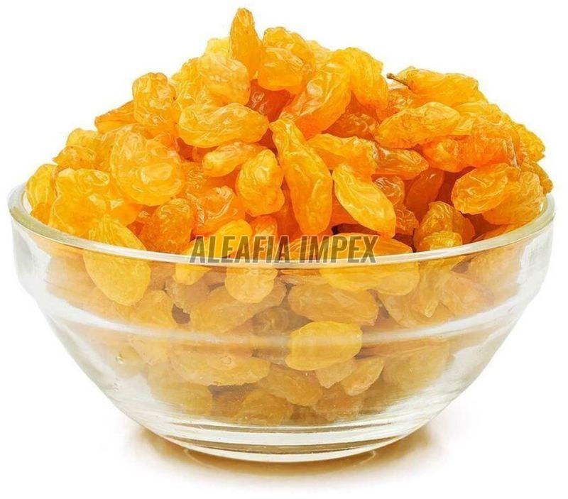 Golden Raisins