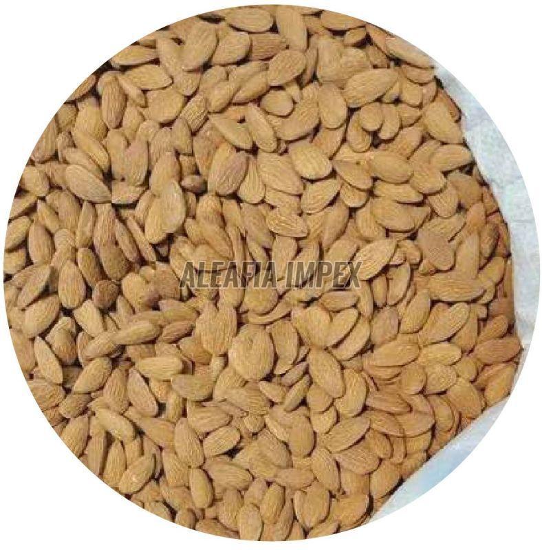 Independent Almond Nuts