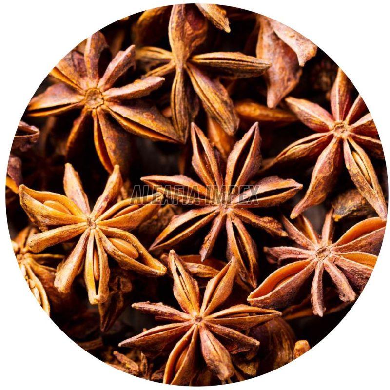 Star Anise Seeds