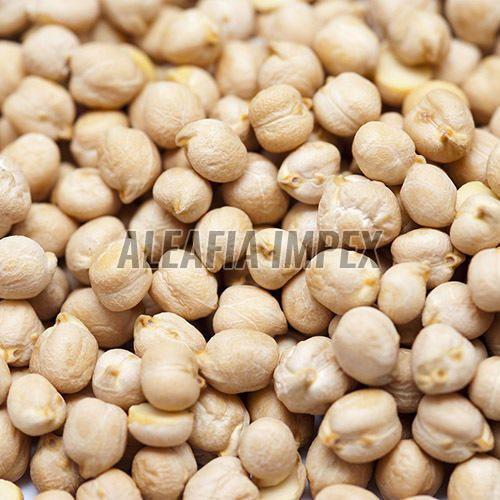 White Chickpeas
