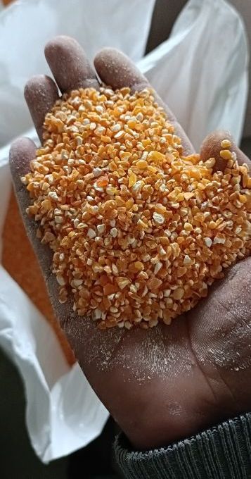 2-3mm Maize Grits