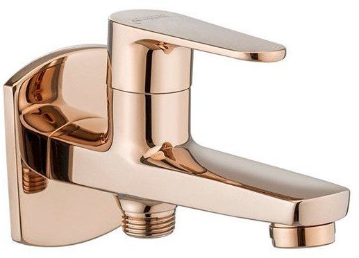 Brass 2 in 1 Bib Cock