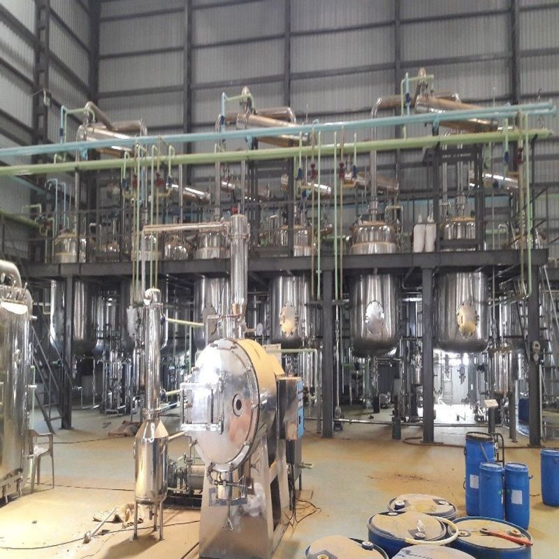 Piperine Black Pepper Extract Plant