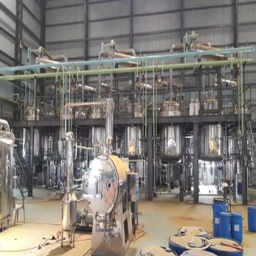 Seed and Berry Antioxidants Extraction Plant