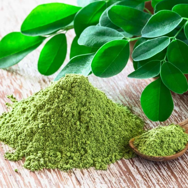 Dehydrated Moringa Powder