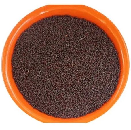 Double Elephant Organic Mustard Seeds