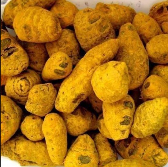 Turmeric Bulb