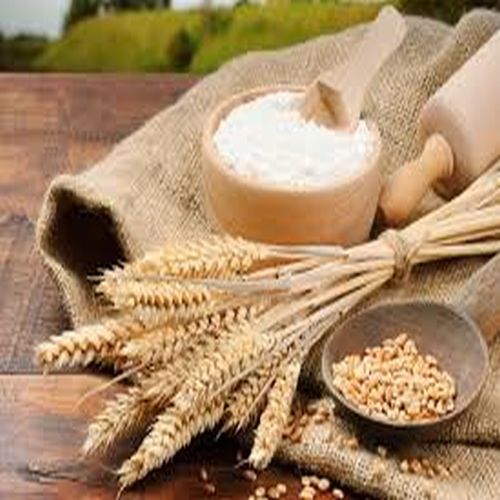 Whole Wheat Flour