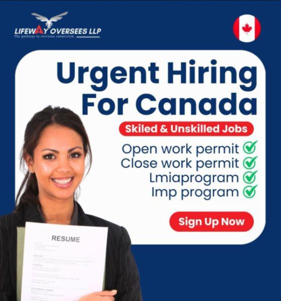 Visa Assistance Service