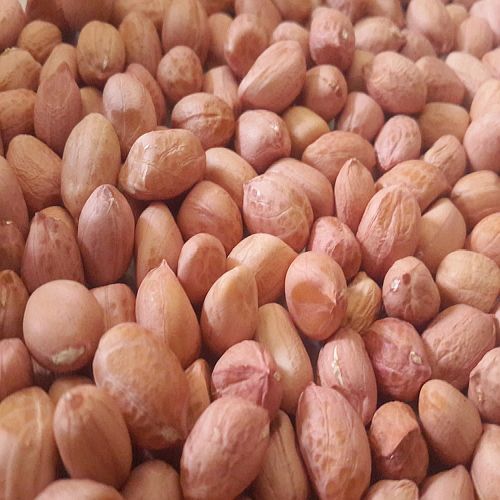 Tj Raw Peanut
