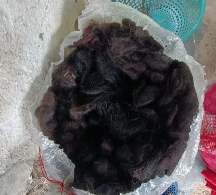 Indian Human Hair
