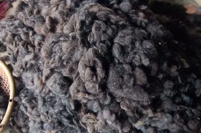 Raw Human Hair