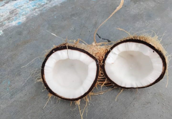 Semi Husked Coconut