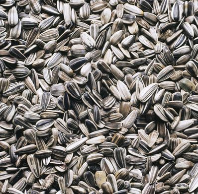 Sunflower Seeds