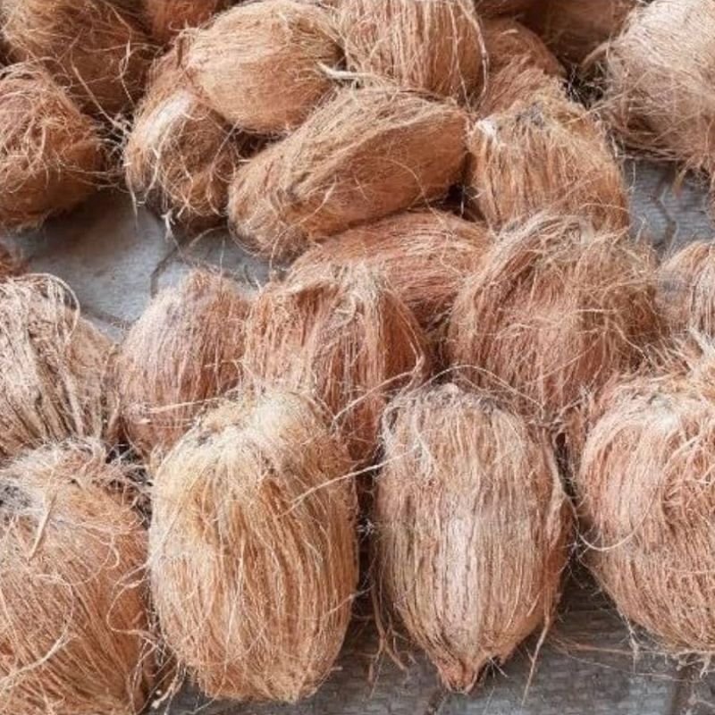 Semi Husked Coconut