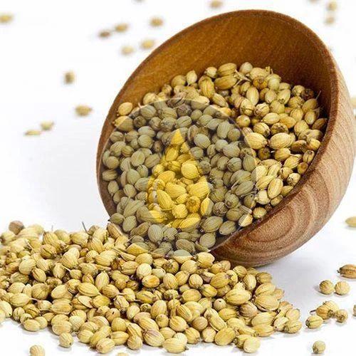 Coriander Seeds