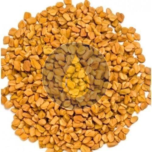 Fenugreek Seeds