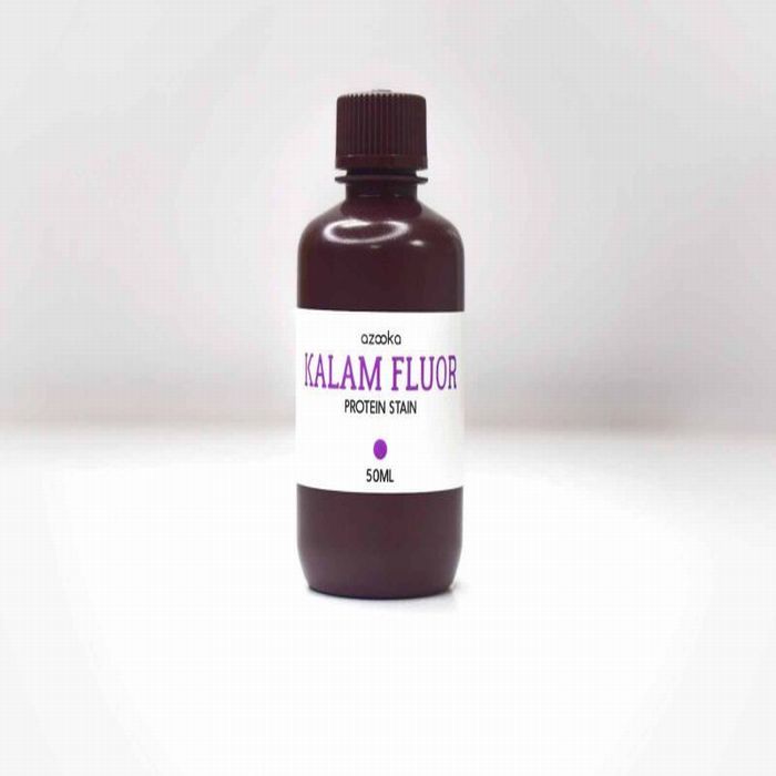 Kalam Fluor Protein Stain
