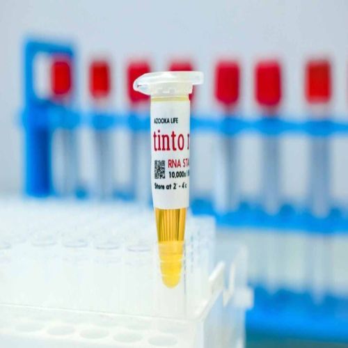 RNA Quantification Tinto Rang Biological Stain