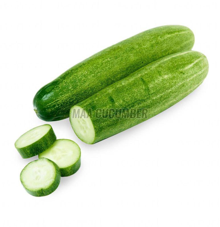 Fresh Green Desi Cucumber